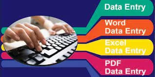 I will help you with your Data Entry accurately 